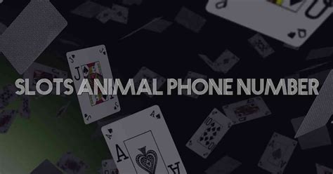 slots animal contact number
